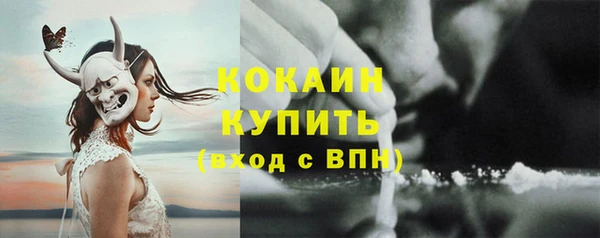 соль ск Абаза