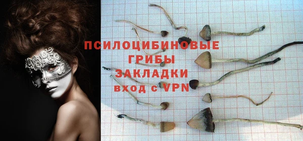соль ск Абаза