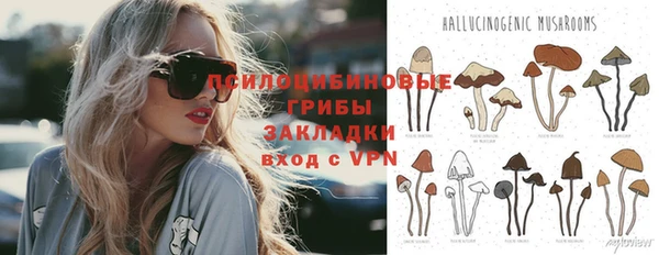 соль ск Абаза