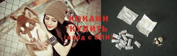 соль ск Абаза